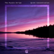 The Purple Stripe - Quiet Concentration (2024)