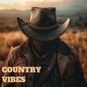 VA - Country Vibes (2025)