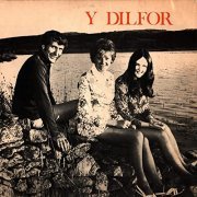 Y Dilfor - Y Dilfor (2021) Hi Res