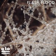 Kongos - Flash Flood (2022)