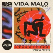 VA - Vida Malo, Vol. 1 (2025)