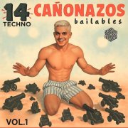 T.a.m - 14 Techno Canonazos Bailables, Vol 1 (2025)