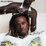 Fireboy DML - Playboy (2022)