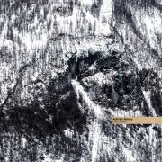 Adrien Amey - Lila Lichen (2025) [Hi-Res]
