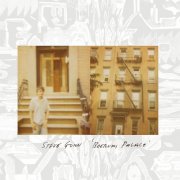 Steve Gunn - Boerum Palace (2009)