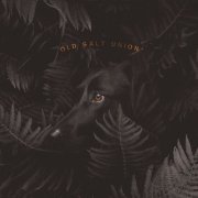 Old Salt Union - Where The Dogs Don't Bite (2019) [Hi-Res]