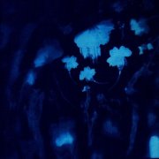 Agnes Uncaged - Cyanotype (2026) Hi-Res