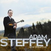 Adam Steffey - New Primitive (2013)