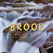 Sounds Of Beautiful World - Flowing Water: Brook (2016) flac