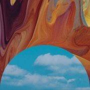 Andrew Bird - Echolocations: Canyon (2015)