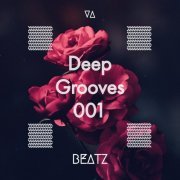 VA - Deep Grooves 001 (2021)