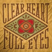 Craig Finn - Clear Heart Full Eyes (2012)