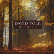 David Tolk - Grace (2008)