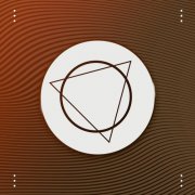 VA - Lizplay Compilation 2024, Vol. 9 (2025)