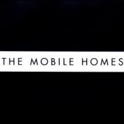 The Mobile Homes - Today Is Your Lucky Day (2009)