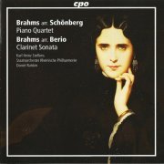 Daniel Raiskin - Brahms arr. Schoenberg: Piano Quartet; Brahms arr. Berio: Clarinet Sonata (2008)