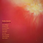 Colin Steele - Stramash II (2026) [Hi-Res]