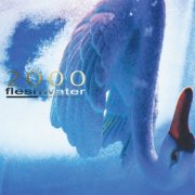Fleshwater - 2000: In Search Of The Endless Sky (2025) [Hi-Res]