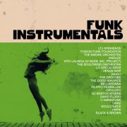 VA - Funk Instrumentals (2024)