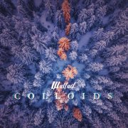 Walfad - Colloids (2018)