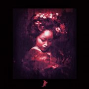 Rainforest - Murk Patterns (2026)