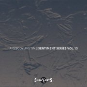 Anybody Anytime - Sentiment Series Vol.13 (2024)