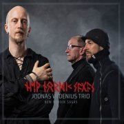 Joonas Widenius Trio, Karo Sampela, Hannu Rantanen, Joonas Widenius - New Nordic Sagas (2020) [Hi-Res]