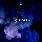 VA - Liquidism, Vol.14 (2024)