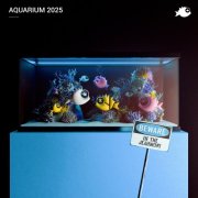 VA - Aquarium 2025 (2025)