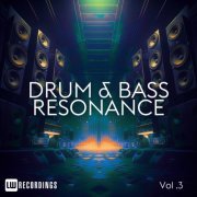 VA - Drum & Bass Resonance, Vol. 03 (2024) FLAC