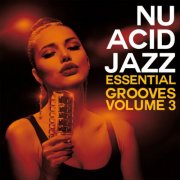 VA - Nu Acid Jazz Essential Grooves Vol. 3 (2026)