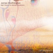 James Worthington - Eight Pieces for Mixture Trautonium (2017)