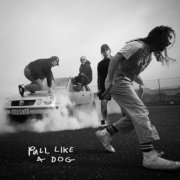 The Scratch - Pull Like a Dog (2026) [Hi-Res]