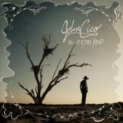 John Cico - The Poison Kind (2025) [Hi-Res]