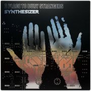 A Place To Bury Strangers - Synthesizer (2024) [Hi-Res]