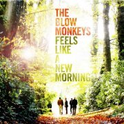 The Blow Monkeys - Feels Like a New Morning (2013)