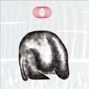 Zaliva-D - 好奇 Curiosity (2026)
