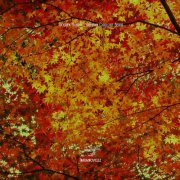 VA - Golden Hours – Autumn Chillout Beats (2025)