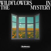 Hushtones - Wildflowers in the Mystery (2025) [Hi-Res]