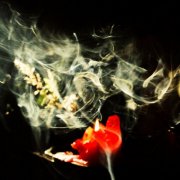 Piezo - Foreground (2025) [Hi-Res]