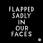 Le Le - Flapped Sadly in Our Faces (2015)