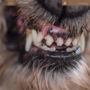 Blanck Mass - World Eater (2017) Hi-Res