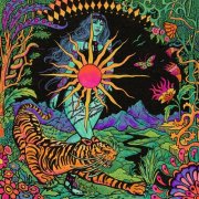 Wisconsin Space Program - Sun in Your Hands (2025)