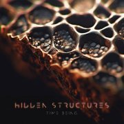 Time Being - Hidden Structures (2024)