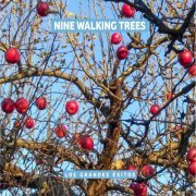 Nine Walking Trees - Los Grandes Exitos (2020) [Hi-Res]