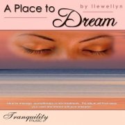 Llewellyn - A Place to Dream (2007)