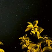 Peter Thomas - changing bodies (2026) [Hi-Res]