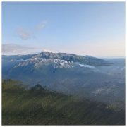 Josiah Bruner - Organics (2026) Hi-Res