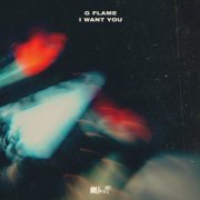 G Flame - I Want You (2020)