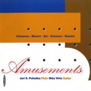 Jari S. Puhakka, Ilkka Virta - Amusements (1997)